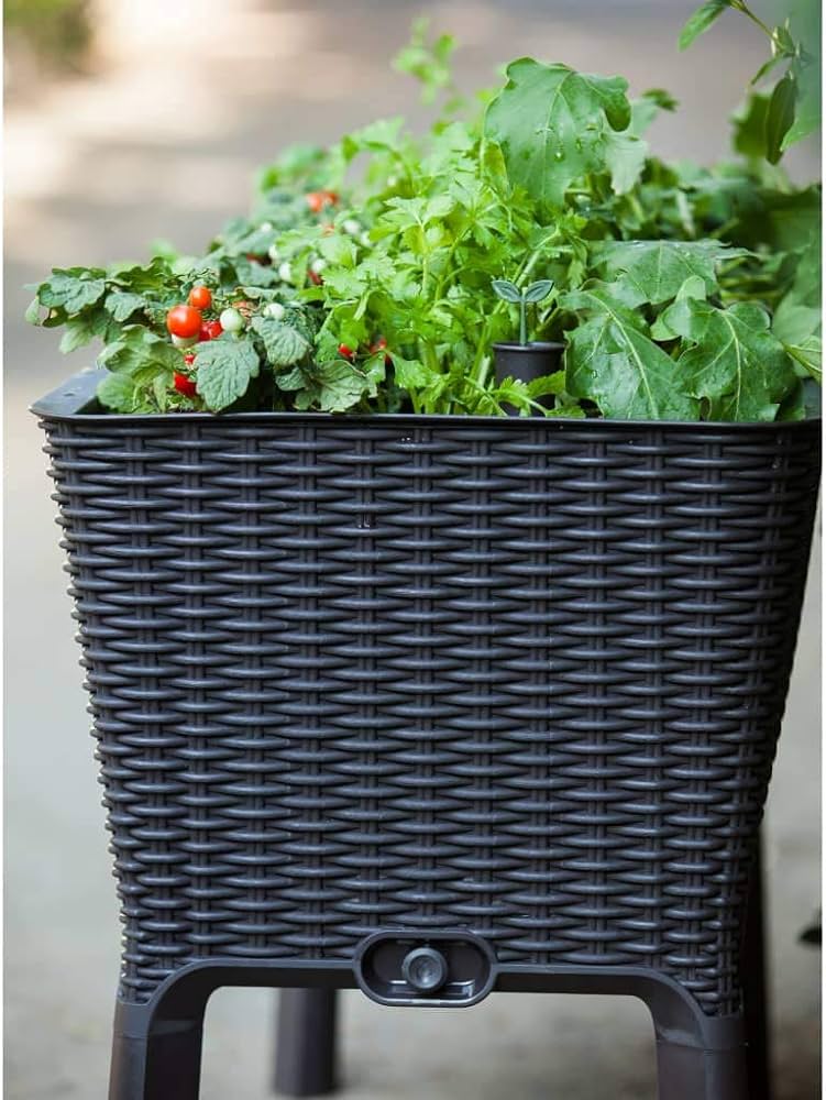 RAISED POT EASY GROW - Image 3