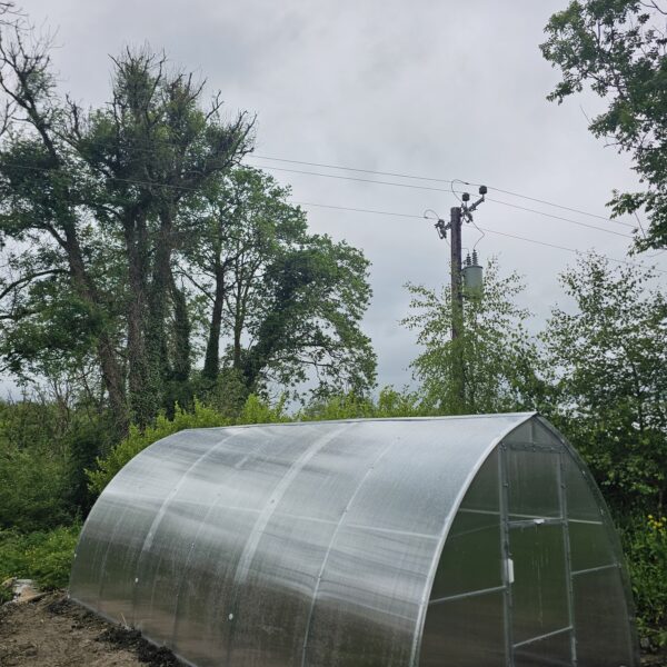 Polycarbonate Greenhouse “Arrow” 3x6m