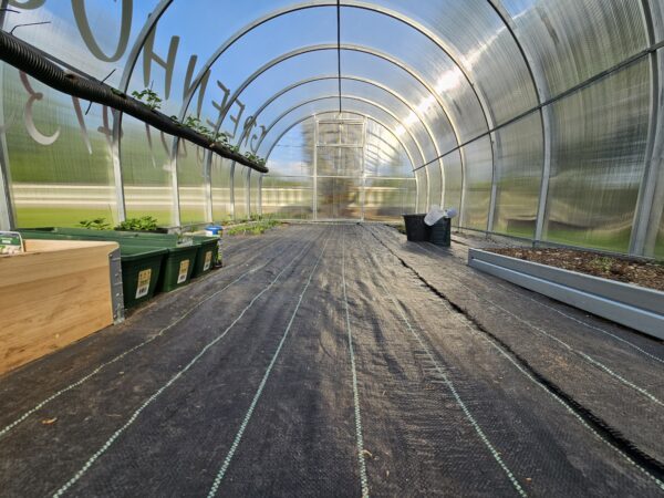 Polycarbonate Greenhouse “Champion” 3x6m - Image 4