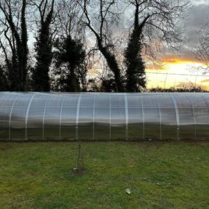 Polycarbonate greenhouse “Champion” 3x10m