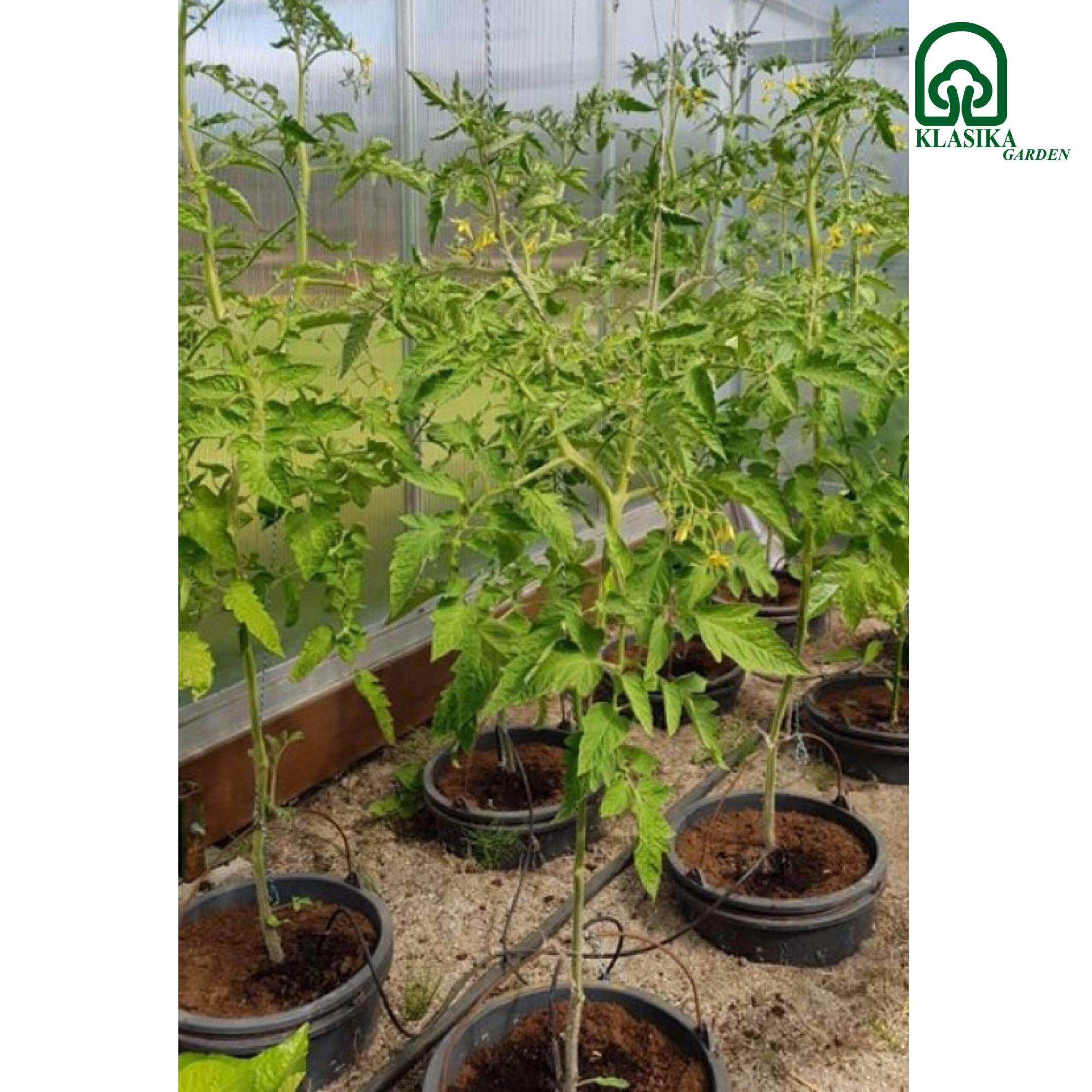 Irrigation system SPIDER 4 - Image 5