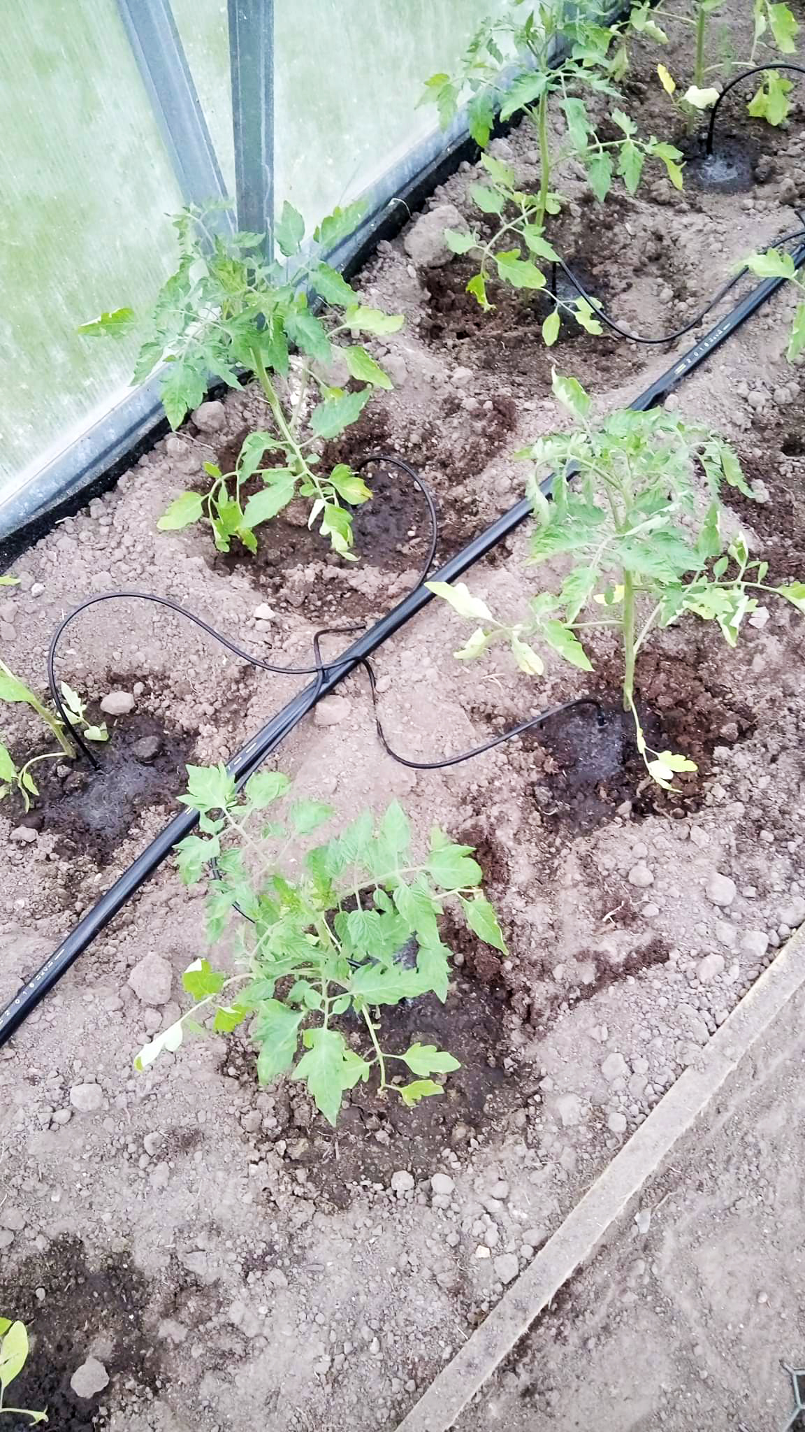 Irrigation system SPIDER 4 - Image 4