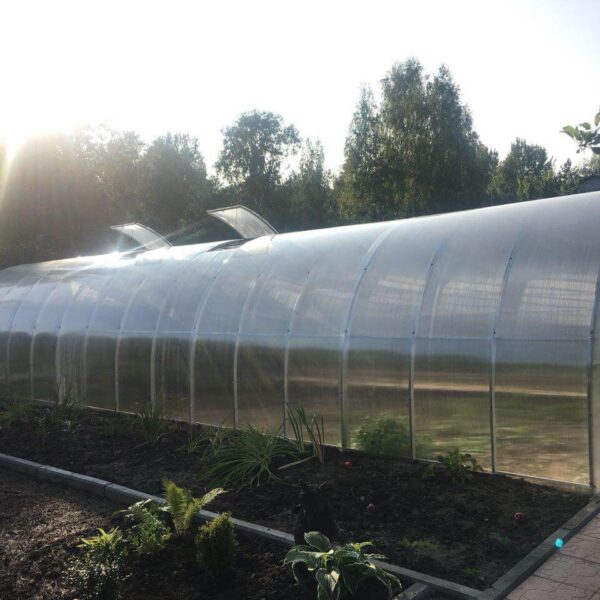 Polycarbonate greenhouse “Classic” 3x12m