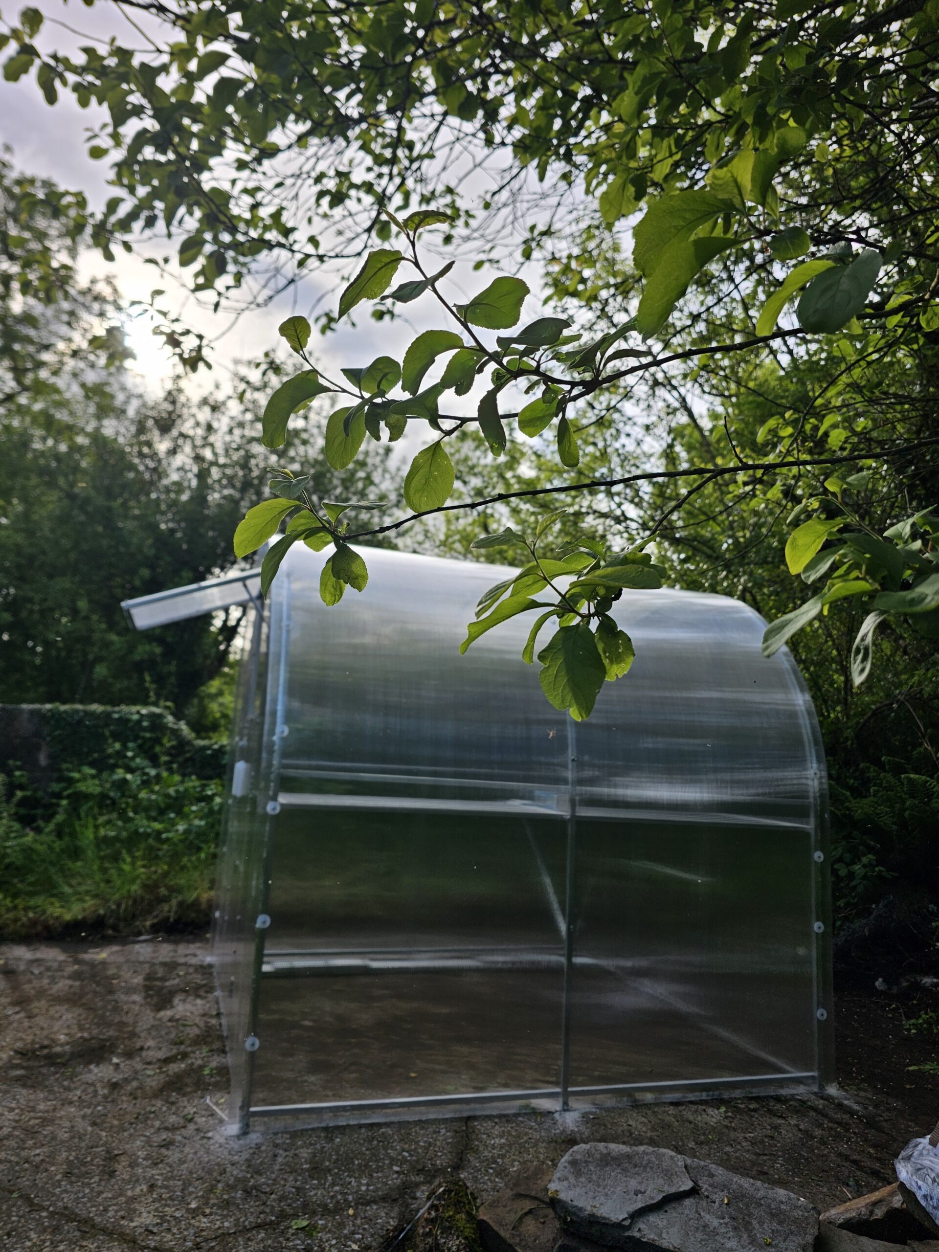 Polycarbonate Greenhouse “Compact” 2x4m - Image 3