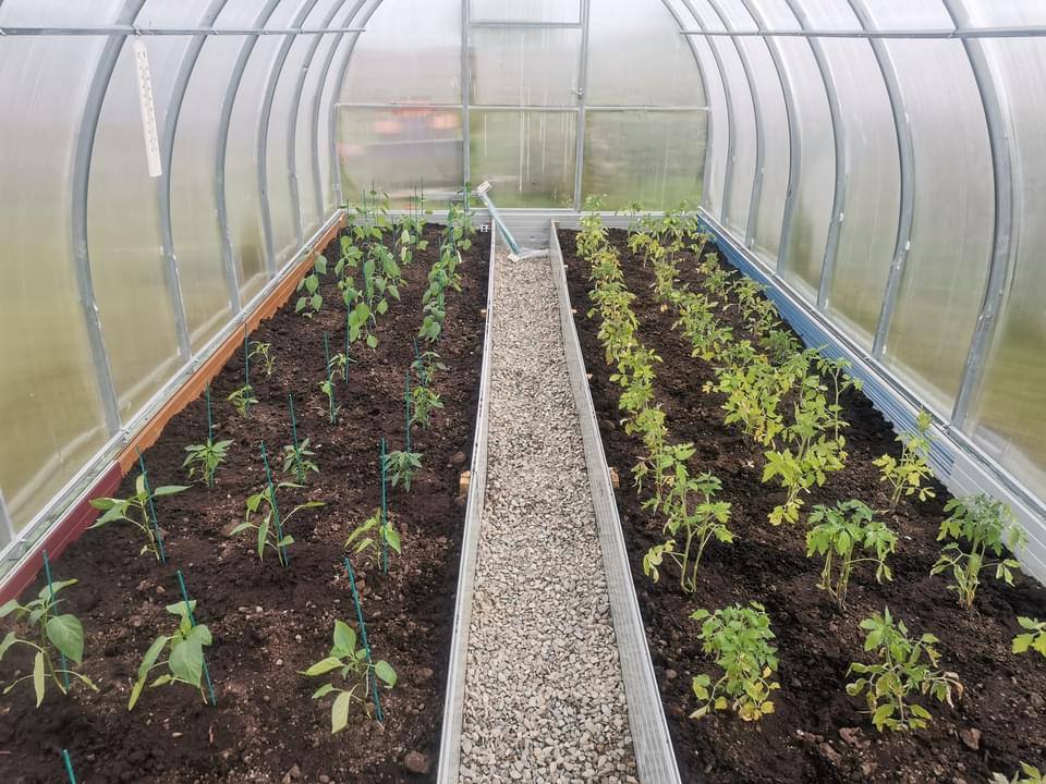 Polycarbonate greenhouse “Classic” 3x12m - Image 5