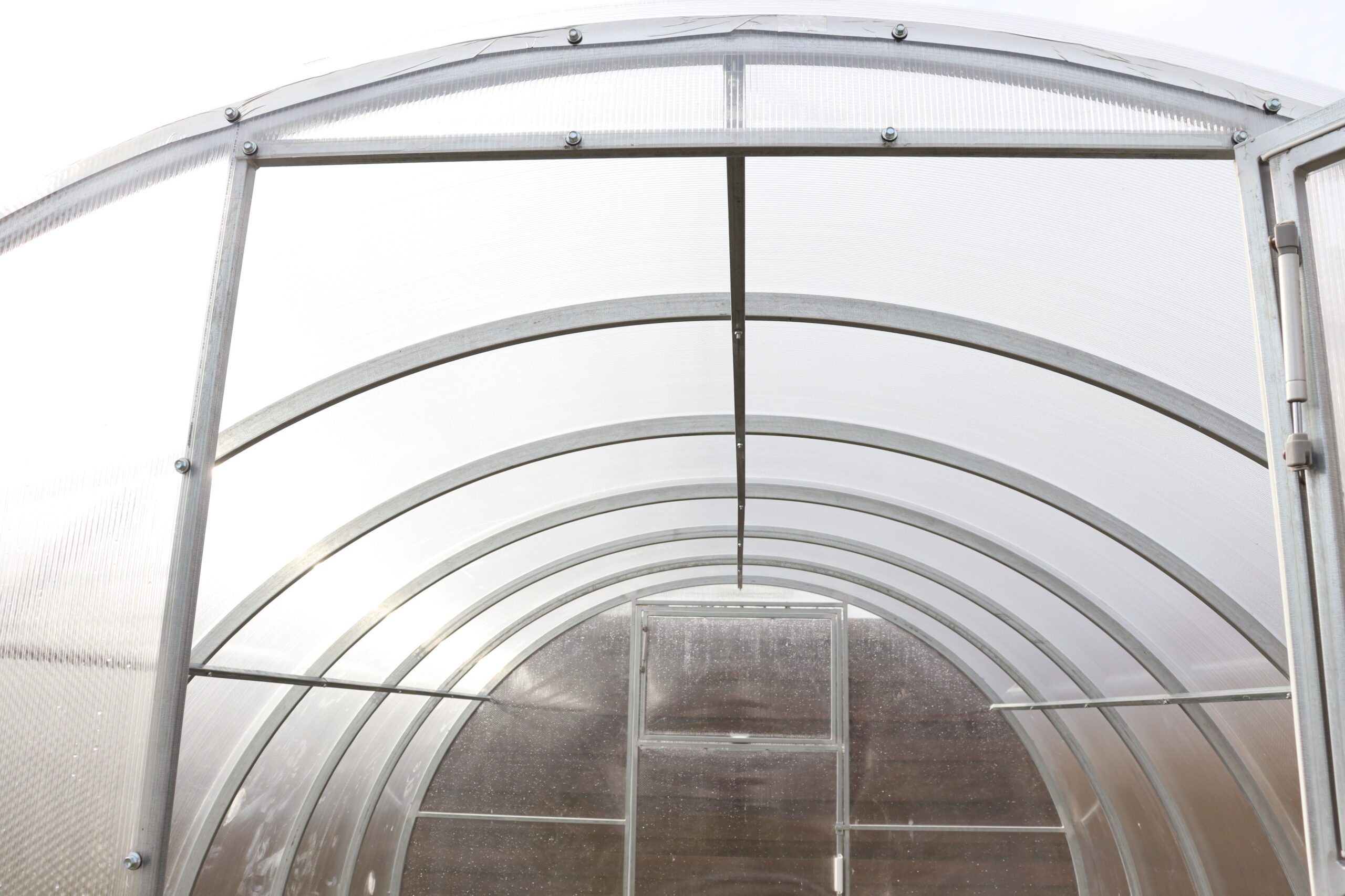 Polycarbonate greenhouse “Classic” 3x12m - Image 3